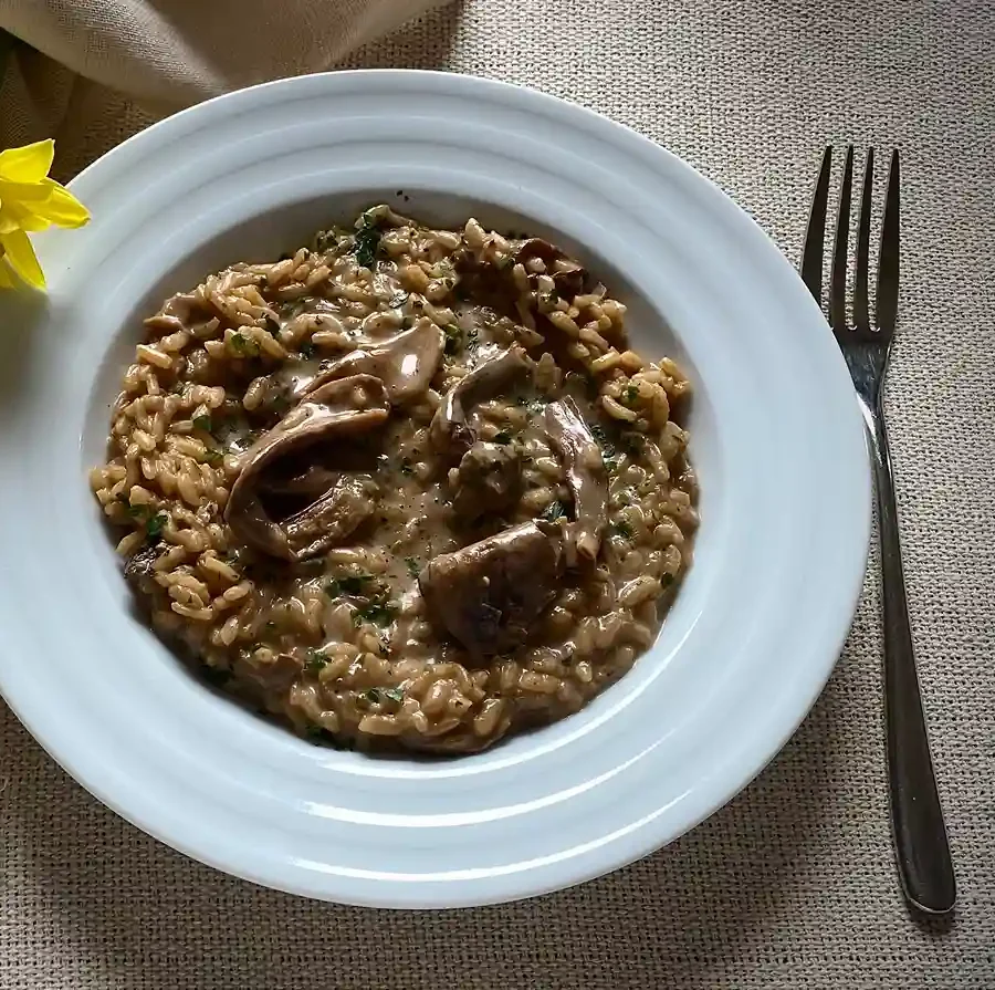 risotto de boletus